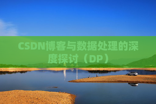 CSDN博客与数据处理的深度探讨（DP）